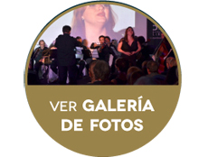 Galeria de fotos / Gala anual 2013